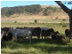 Lot 1 and 2, Lots Main Victor Harbour Rd, Mount Compass SA 5210