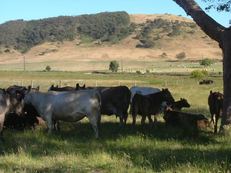 Lot 1 and 2, Lots Main Victor Harbour Rd, Mount Compass SA 5210