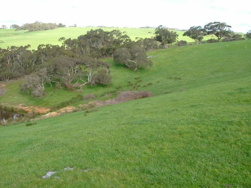 Lot 52 Woodgate Hill Road, Willunga SA 5172