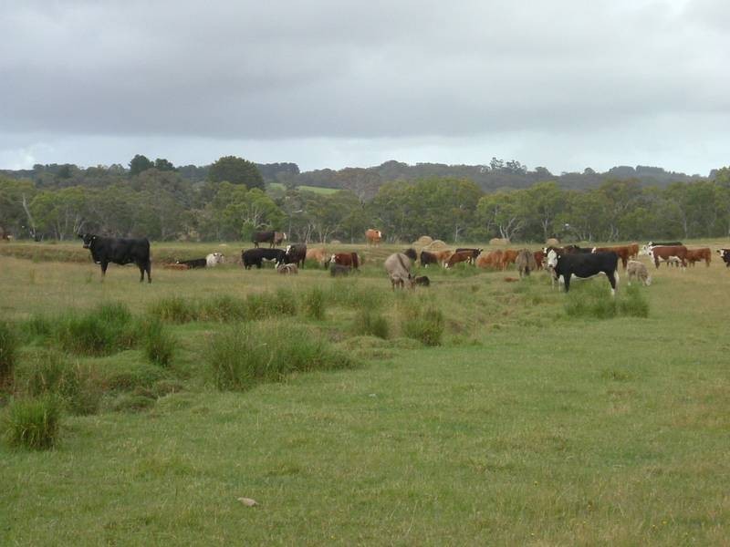 Lot 52, Lot Woodgate Hill Road, Willunga SA 5172