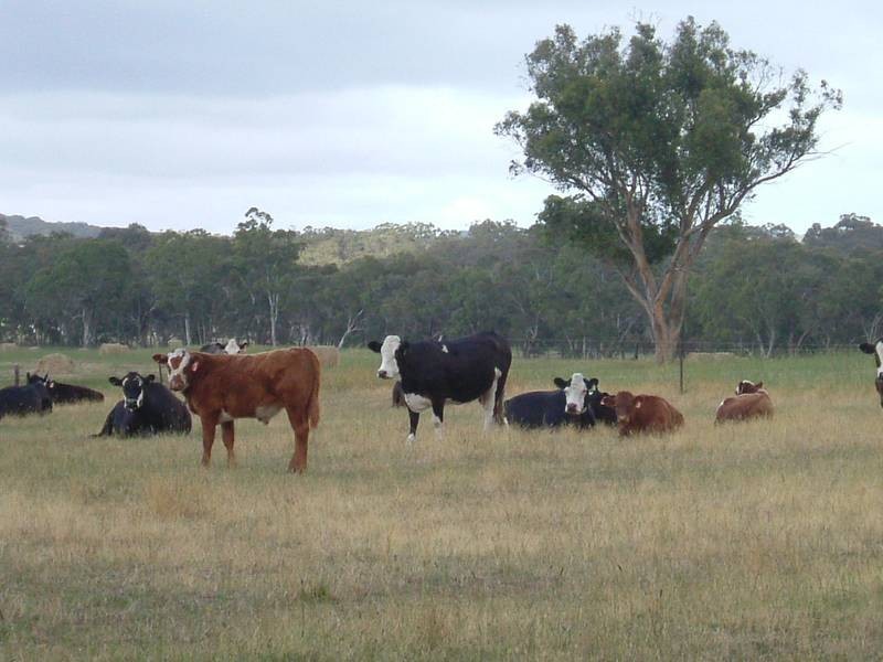 Lot 52, Lot Woodgate Hill Road, Willunga SA 5172