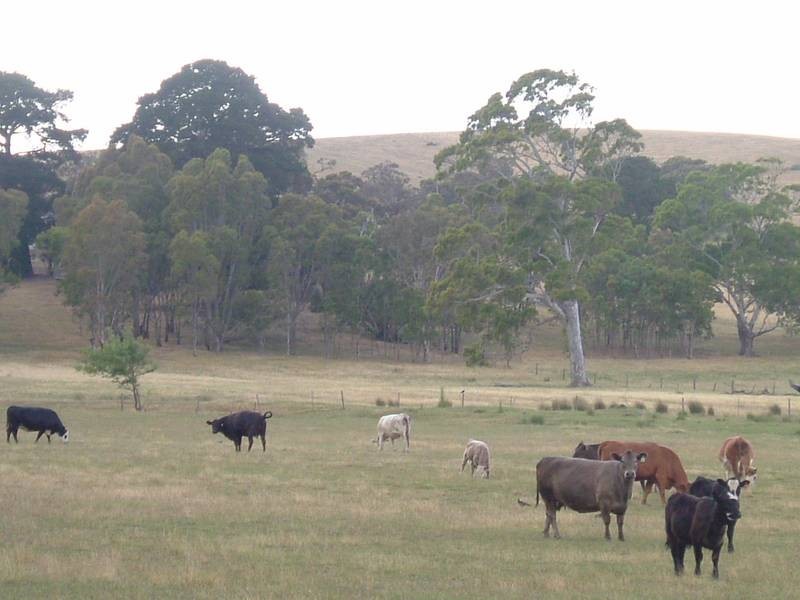 Lot 52, Lot Woodgate Hill Road, Willunga SA 5172