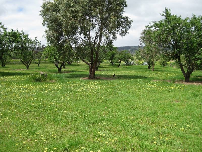 Lot 2 Almond Grove Road, Willunga SA 5172