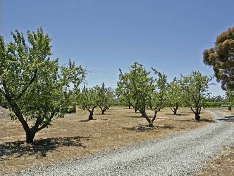 Lot 2 Almond Grove Road, Willunga SA 5172
