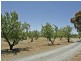 Lot 2 Almond Grove Road, Willunga SA 5172
