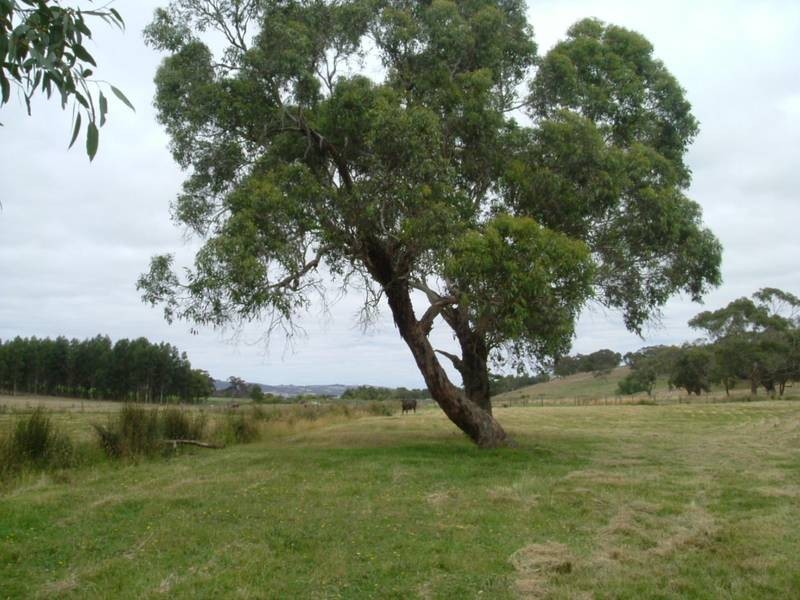 Lot 202 Lanacoona Road, Mount Compass SA 5210