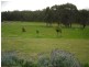 North Rothbury NSW 2335