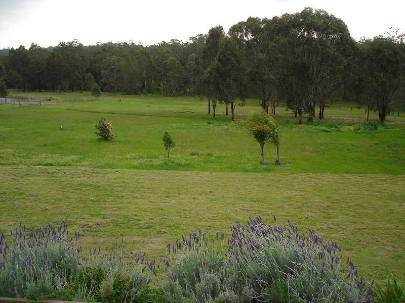 North Rothbury NSW 2335