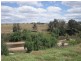 575 Stanhope Road, Stanhope NSW 2335