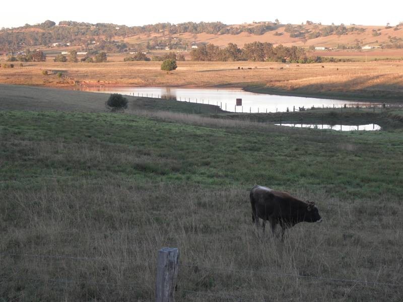 219 Luskintyre Road, Luskintyre NSW 2321