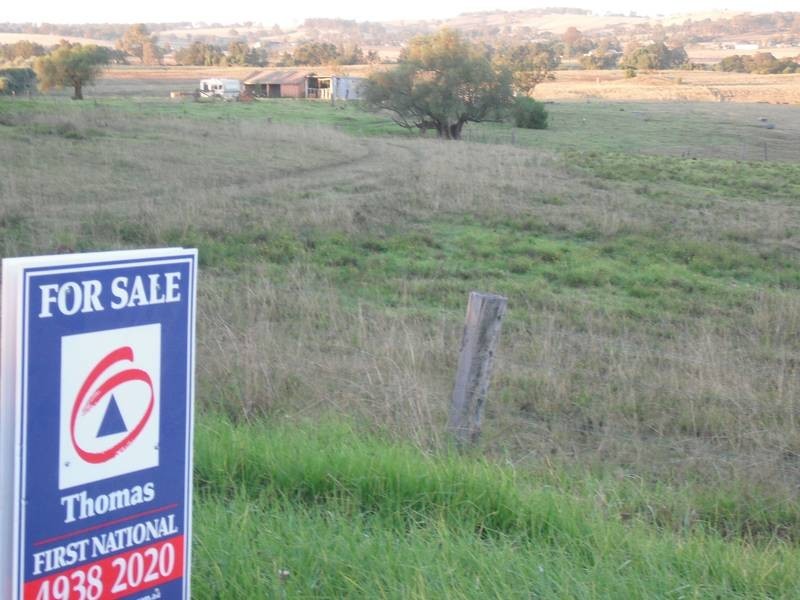 219 Luskintyre Road, Luskintyre NSW 2321