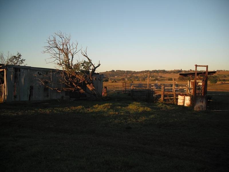 219 Luskintyre Road, Luskintyre NSW 2321