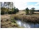 Dungog NSW 2420
