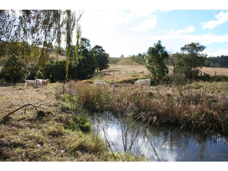Dungog NSW 2420