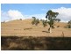 Dungog NSW 2420