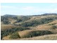 Dungog NSW 2420