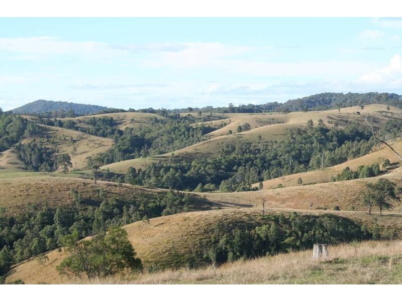 Dungog NSW 2420