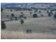 Dungog NSW 2420