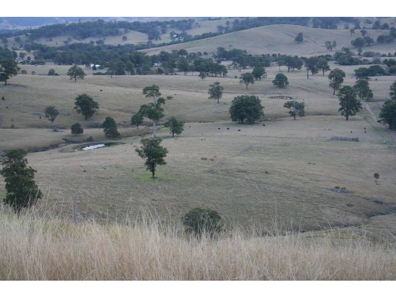 Dungog NSW 2420