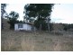 Dungog NSW 2420