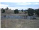 Dungog NSW 2420