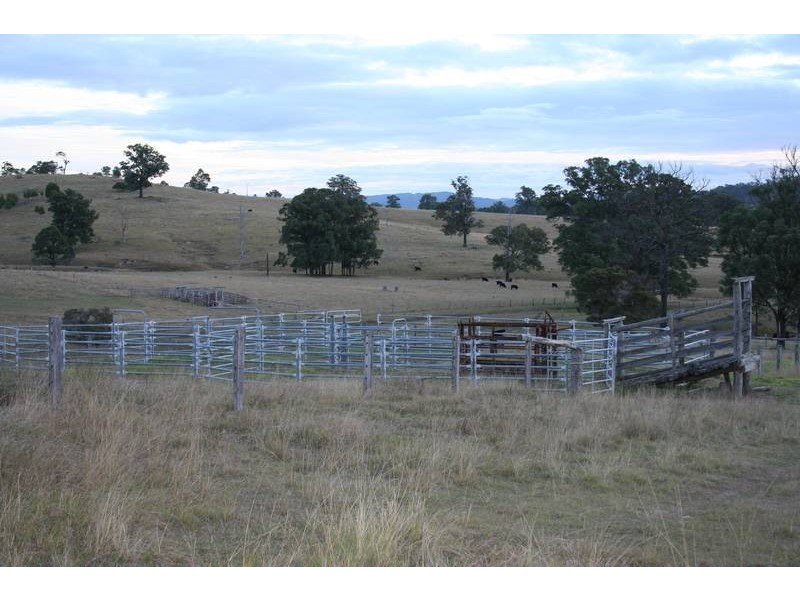 Dungog NSW 2420