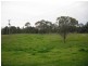 532 Tocal Road, Mindaribba NSW 2320