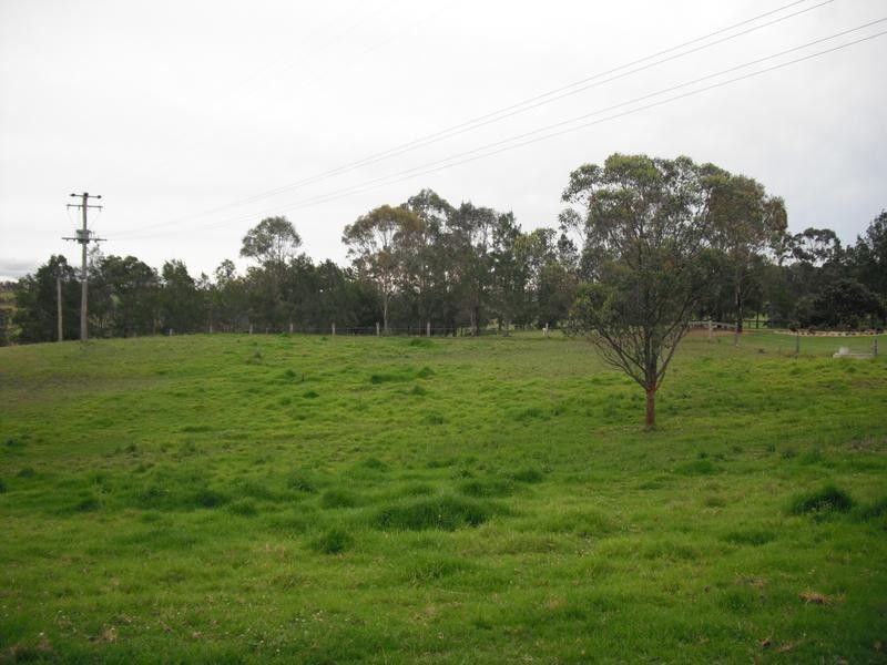 532 Tocal Road, Mindaribba NSW 2320