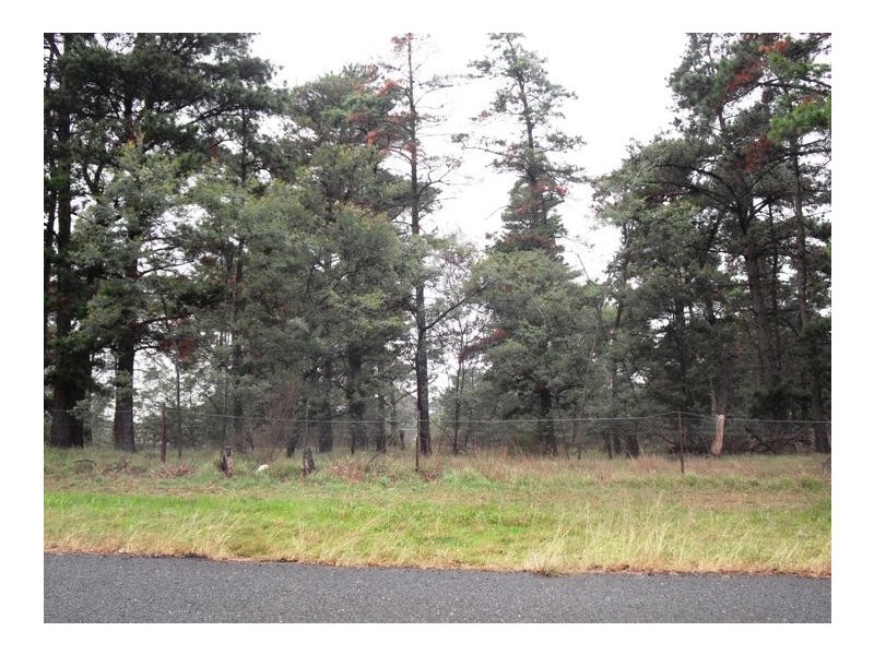 55 Wyndham, Greta NSW 2334