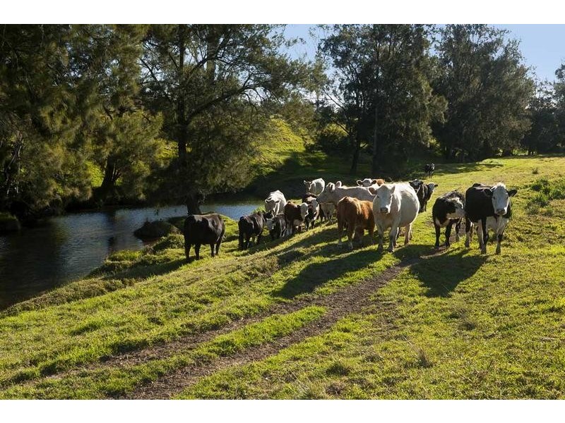 764 CHICHESTER DAM ROAD, Dungog NSW 2420