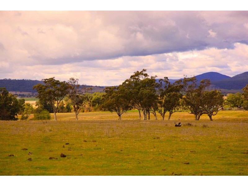 109 Martindale Road, Denman NSW 2328