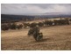 8717 Golden Highway, Borambil NSW 2329
