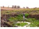 8717 Golden Highway, Borambil NSW 2329