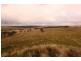8717 Golden Highway, Borambil NSW 2329