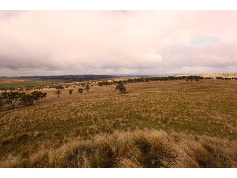 8717 Golden Highway, Borambil NSW 2329