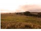 8717 Golden Highway, Borambil NSW 2329