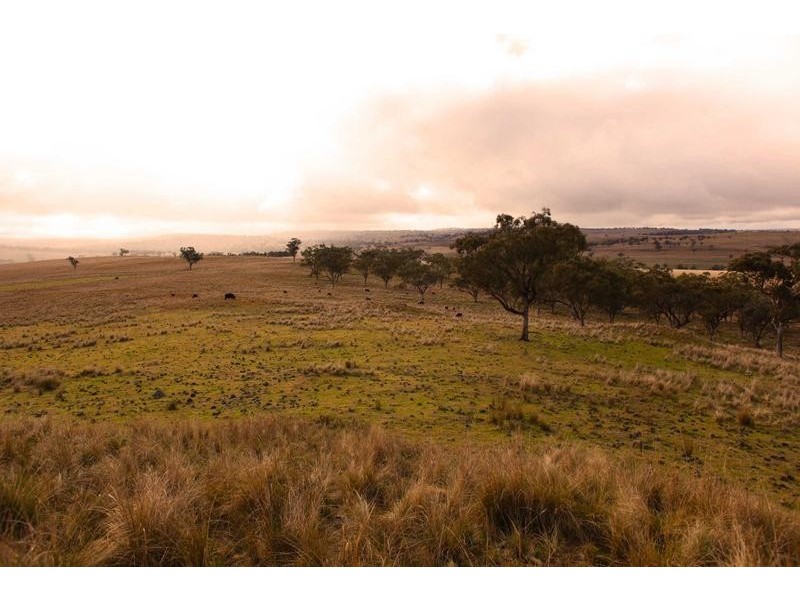 8717 Golden Highway, Borambil NSW 2329