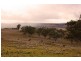 8717 Golden Highway, Borambil NSW 2329