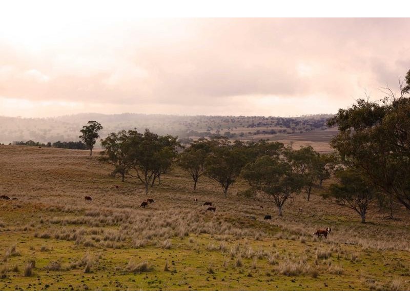 8717 Golden Highway, Borambil NSW 2329