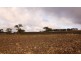 8717 Golden Highway, Borambil NSW 2329