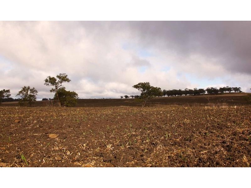 8717 Golden Highway, Borambil NSW 2329