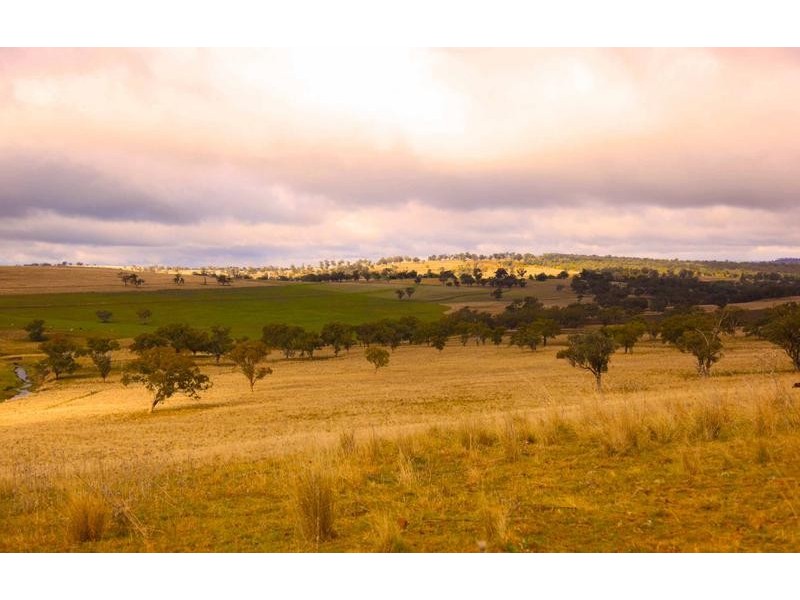 8717 Golden Highway, Borambil NSW 2329