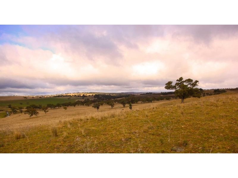 8717 Golden Highway, Borambil NSW 2329