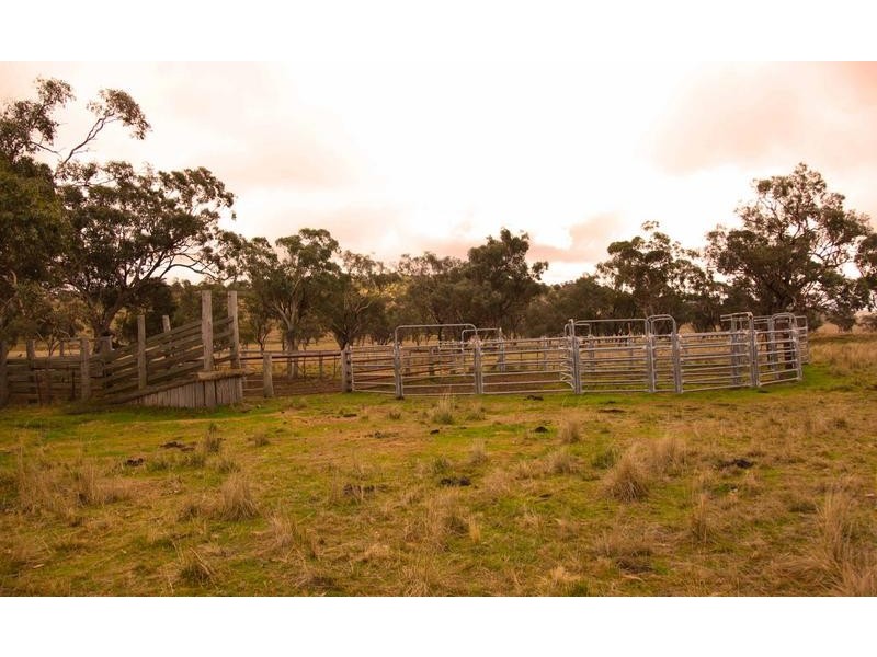 8717 Golden Highway, Borambil NSW 2329