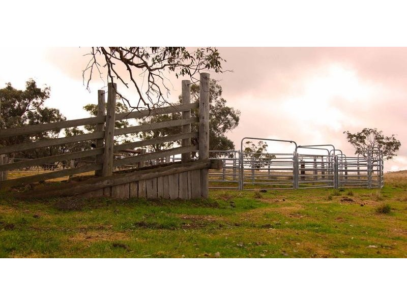 8717 Golden Highway, Borambil NSW 2329