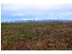 8717 Golden Highway, Borambil NSW 2329