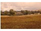 8717 Golden Highway, Borambil NSW 2329