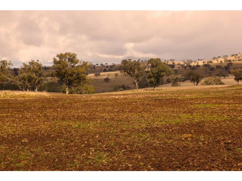 8717 Golden Highway, Borambil NSW 2329