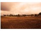 8717 Golden Highway, Borambil NSW 2329