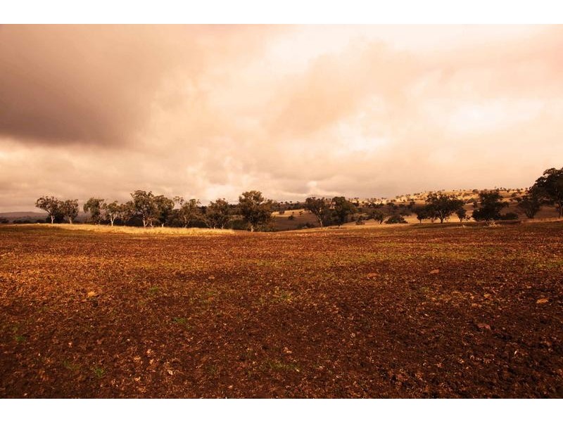 8717 Golden Highway, Borambil NSW 2329